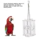 thumbnail image 5 of Dispositivo de búsqueda de alimento para loros, comedero para pájaros pequeños, loros, dispositivo de búsqueda de alimento para pájaros, durabilidad prolongada, 5 of 9
