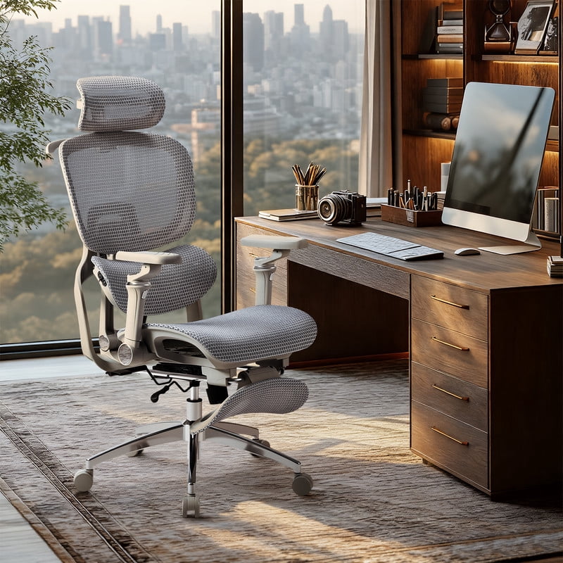 Lacoo Ergonomic Office Mesh Chair Executive High Back Computer Chair with Heated Massage Lumbar Support, 6D Armrest,Adjustable Headrest (Gray)