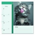 thumbnail image 5 of Pets Collection Monthly Desk Pad, Furry Kittens Photography, 22 x 17, White Sheets, Black Binding, 12-Month (Jan-Dec): 2026 | Bundle of 10, 5 of 5