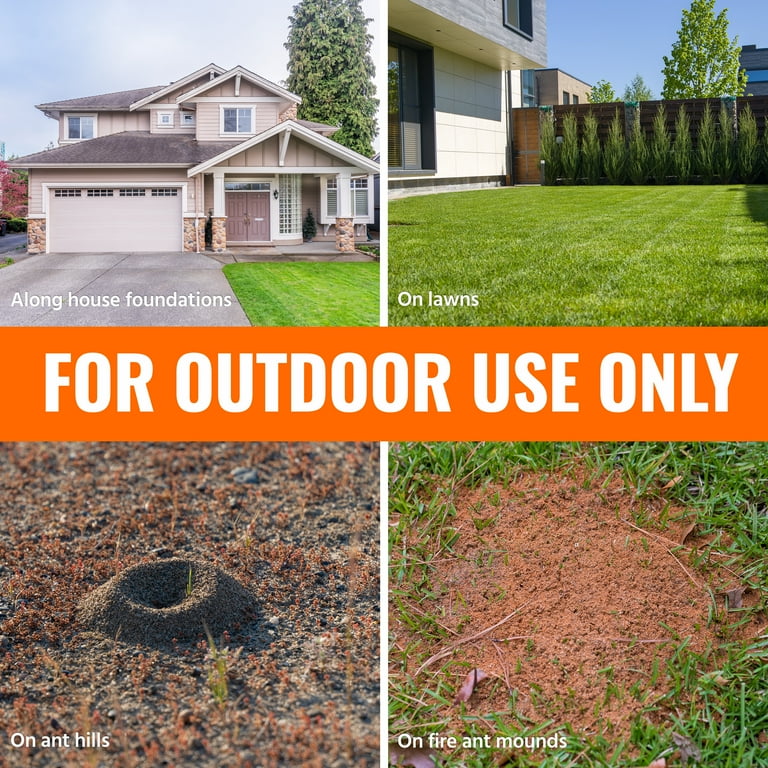 TERRO Granules Ant Killer 3 lb.