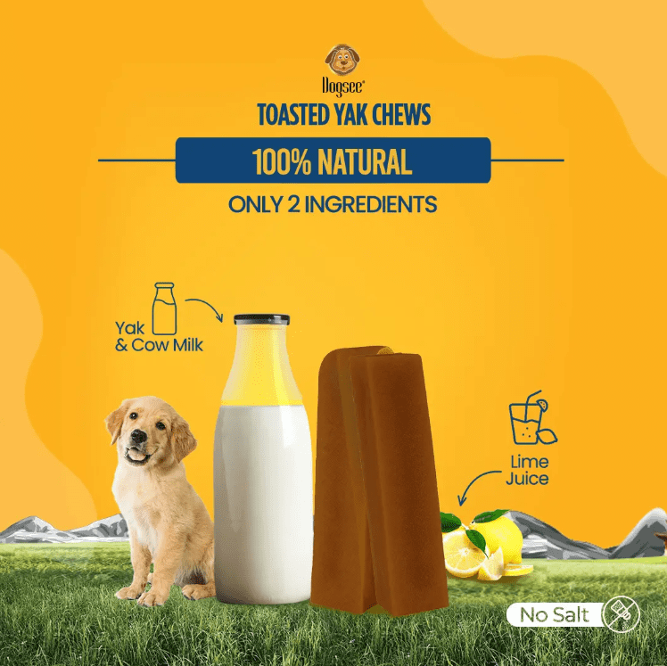 Dogsee Toasted Himalayan Yak Cheese Dog Chews (Large - 4 Chews)