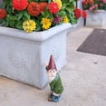 thumbnail image 2 of Estatua de gnomo de jardín con humor Estatua de gnomo de jardín de poliresina para decoración interior o exterior, 2 of 3
