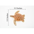 thumbnail image 3 of Turtle, Loggerhead Sea Turtle, Museum Quality, Hand Painted, Rubber Reptile, Realistic Toy Figure, Model, Replica, Kids, Educational, Gift, 3 1/2" CH291 BB128, 3 of 8