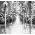 thumbnail image 2 of Bibikow, Walter 27x26 Black Ornate Wood Framed with Double Matting Museum Art Print Titled - Azores Reflection, 2 of 4