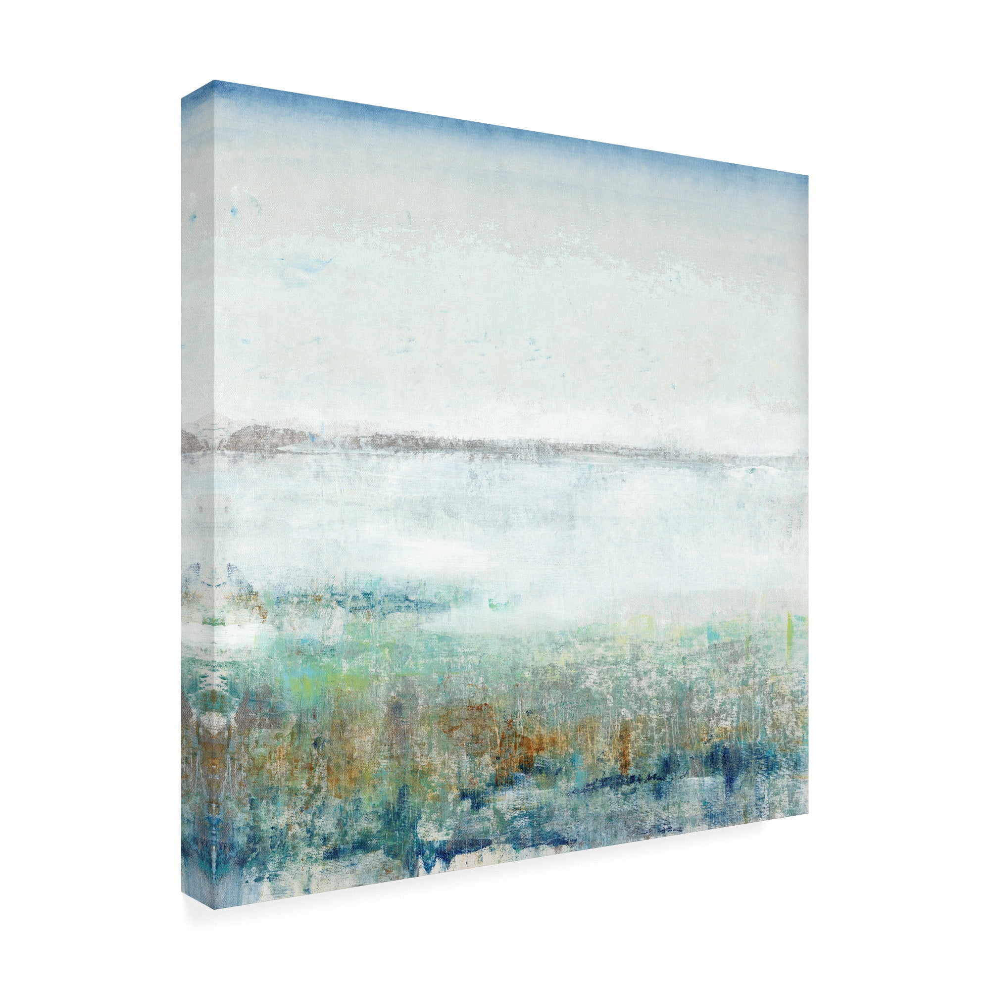 Trademark Fine Art 'Turquoise Mist I' Canvas Art by Tim OToole