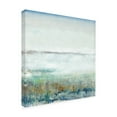 thumbnail image 2 of Trademark Fine Art 'Turquoise Mist I' Canvas Art by Tim OToole, 2 of 4