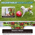 thumbnail image 5 of CALHNNA Washable Dog Diapers Female - 3 Pack with Skirt Doggie Diapers for Female Dogs Medium, 5 of 5