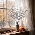 thumbnail image 3 of WWG Halloween Wreath for Front Door, Plastic Dried Branch Wreath, Indoor Outdoor Door Wreath, Versatile Wall Window Porch Decor, Includes 1 Piece, 3 of 6