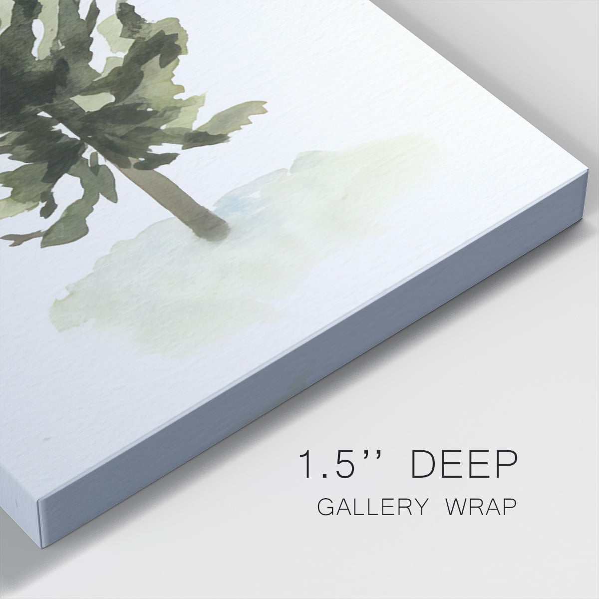 Watercolor Pine I- Gallery Wrapped Canvas
