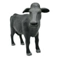 thumbnail image 2 of Cow Black Steer Realistic Small Toy Model Plastic Replica Barn Animal, Kids Educational Gift 6" MA02-B653, 2 of 12