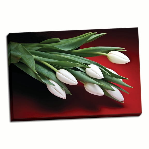 Gango Home Decor Tulips I by C. Thomas McNemar (Ready to Hang); One 36x24in Hand-Stretched Canvas