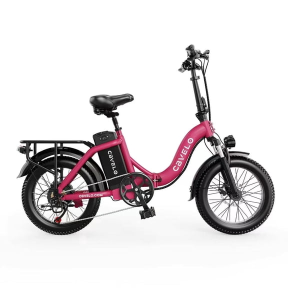 shinesong 1000W Folding Electric Bike for Adults, 48V 20.8AH Removable Battery, Up to 80Miles Max Range, 20"×3.0 Fat Tire All Terrain with 7-Speed City Commuter