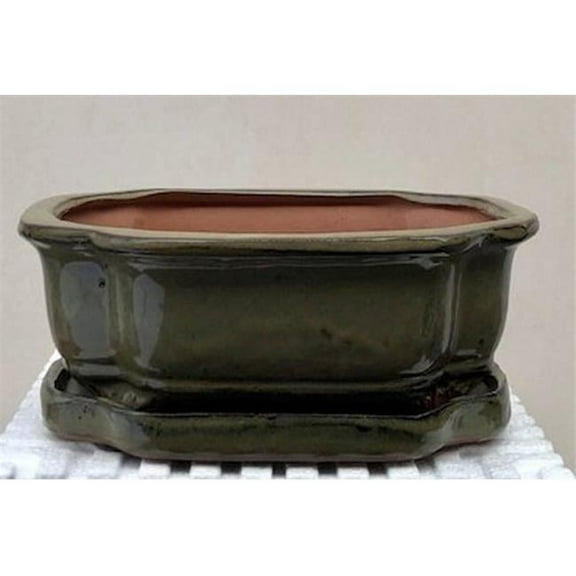8.5 x 6.5 x 3 in. Olive Green Ceramic Bonsai Pot with Humidity Drip Tray, Rectangle