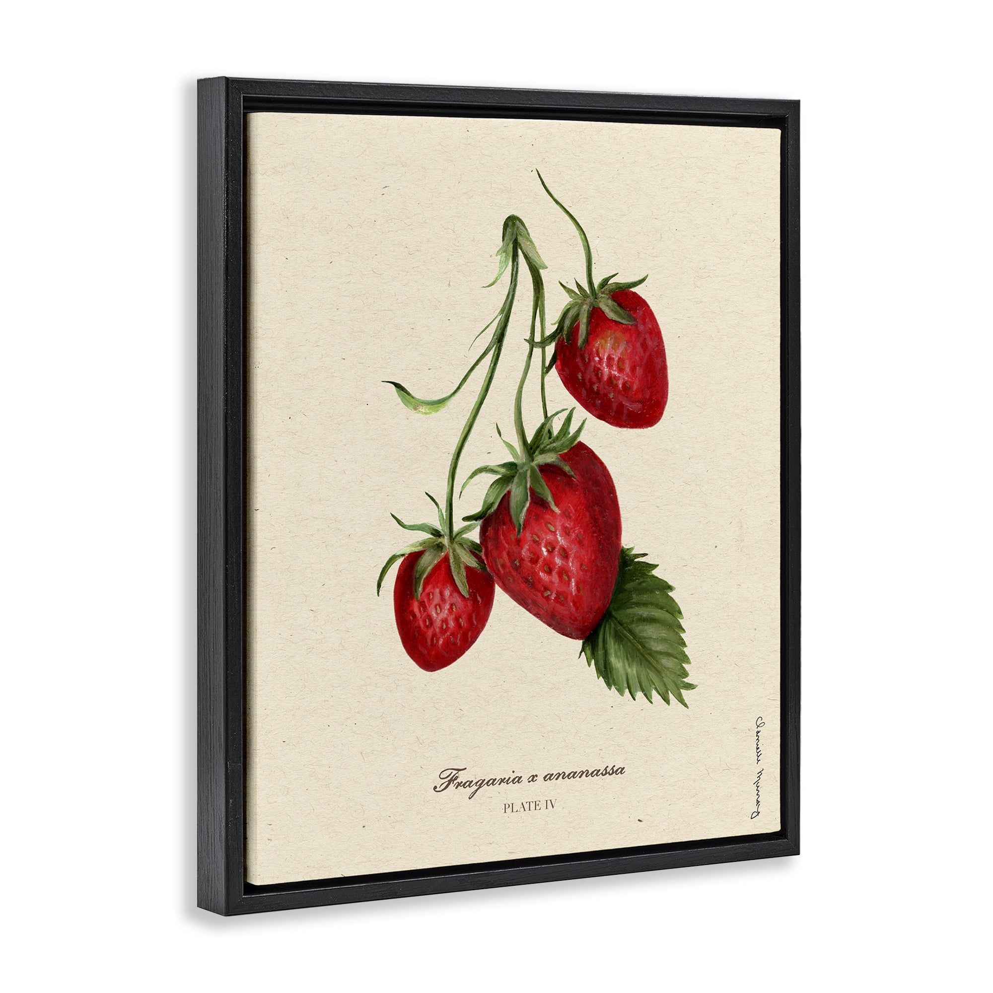 Stupell Industries Strawberry Fruit Portrait Black Framed Floater Canvas Wall Art, design by Danielle Murray
