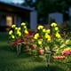 thumbnail image 4 of Luces de flores de rosa solar para exteriores | 5 Cabezas | Decorativo de jardín impermeable | Iluminación de césped de villa de patio con energía solar | Rojo Amarillo Azul Rosa Blanco | Paquete de, 4 of 6