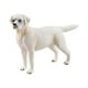 thumbnail image 5 of Estatuilla de Perro Realista Hugo Juguete Educativo Labrador Blanco, 5 of 10
