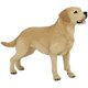 thumbnail image 2 of Papo - Pintado a Mano - Figura - Perros y Gatos - Figura Labrador-54029 - Coleccionable - para Niños - Apto para Niños y Niñas - A Partir de 3 Años, 2 of 3