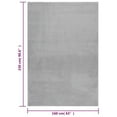 thumbnail image 3 of vidaXL 5x7.5 Ft Modern Area Rug, Soft Plush Fluffy Low Pile, Anti-Slip Backing, Gray, 3 of 8