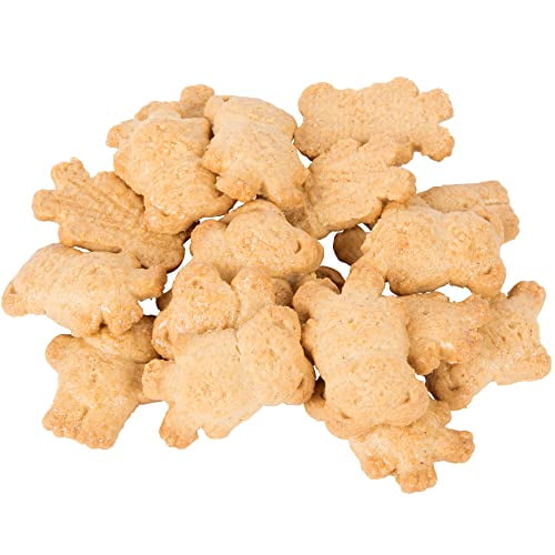Cinnamon Teddy Bear Graham Crackers Snack Packs | .75 Oz | 25 Total