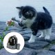 thumbnail image 5 of Bolsa de Viaje Sunnimix Rucksack Expandible Transpirable Gris Carrier de viaje de gatito, 5 of 8