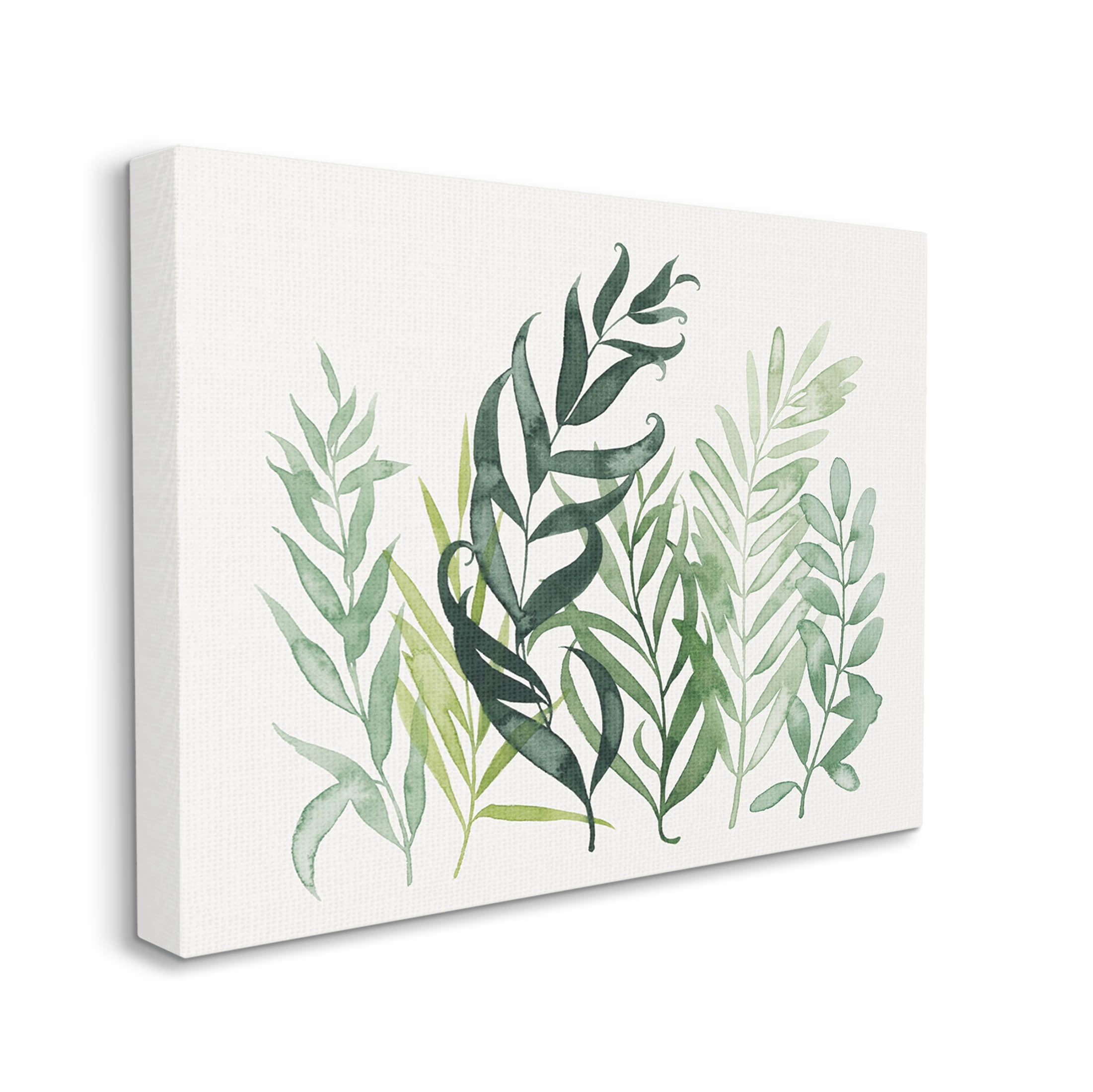 Stupell Industries Layered Plant Leaves Botanical Graphic Art Gallery Wrapped Canvas Print Wall Art, Design by Grace Popp