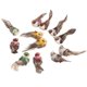 thumbnail image 5 of Decoración segura y confiable del pájaro de la simulación del color brillante pájaro artificial para la ventana del jardín de la escena del arte floral ANGGREK Otros, 5 of 8