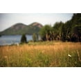 thumbnail image 2 of Colberg, Lisa 18x13 White Modern Wood Framed Museum Art Print Titled - Grassy Field 1, 2 of 4