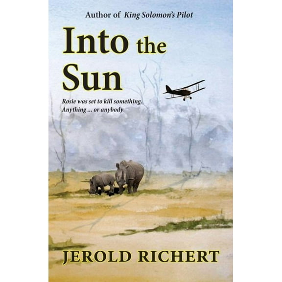 Into the Sun (Paperback)
