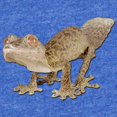 thumbnail image 2 of CafePress - Leaf Tail Gecko - Cute Infant Baby Football Bodysuit, 2 of 3