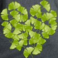 thumbnail image 3 of CafePress - Ginkgo Leaf Heart Women's Dark T Shirt - Women's Traditional Fit Dark T-Shirt, 3 of 4