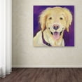 thumbnail image 4 of Trademark Fine Art "Alex" Canvas Art by Pat Saunders-White, 4 of 4
