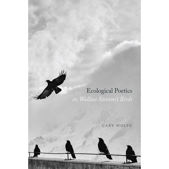 Ecological Poetics; Or, Wallace Stevens's Birds, (Paperback)