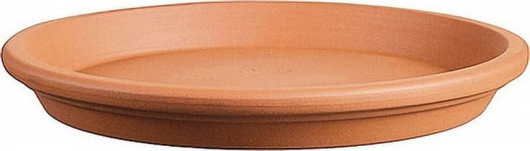 Southern Patio Saucer - Thumbnail 4