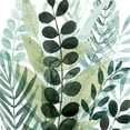 thumbnail image 3 of Popp, Grace 15x15 Black Modern Framed Museum Art Print Titled - Forest Forage III, 3 of 5