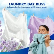 (2 pack) Lysol® Laundry Sanitizer Additive, Eliminates Odor Causing Bacteria, Lavender Fusion, 90 fl oz