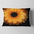 thumbnail image 2 of Designart Fractal Flower Petals on Black - Floral Throw Pillow - 12x20, 2 of 5