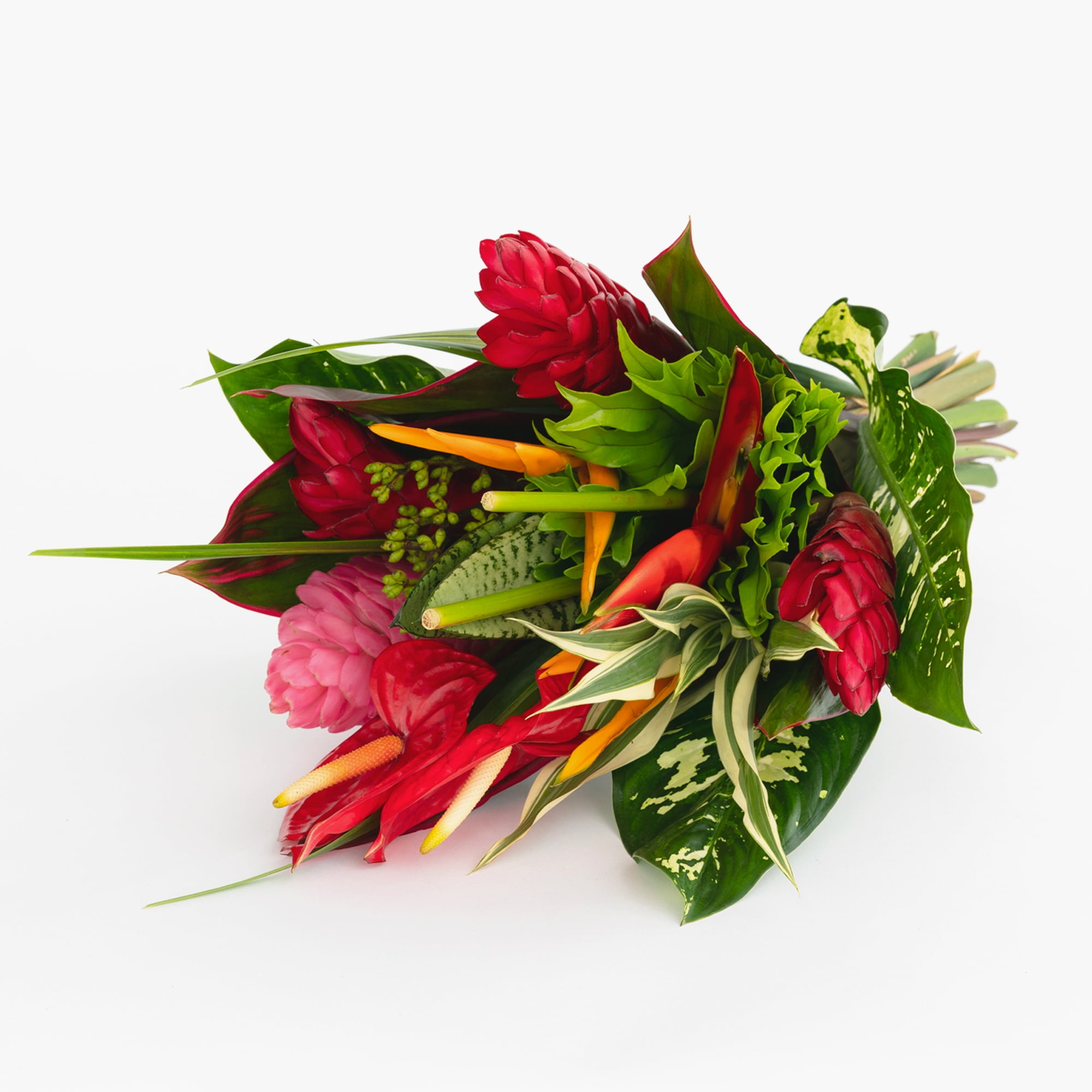 BloomsyBox Tropical Bouquets Bloom with a view, Fresh Cut Flowers