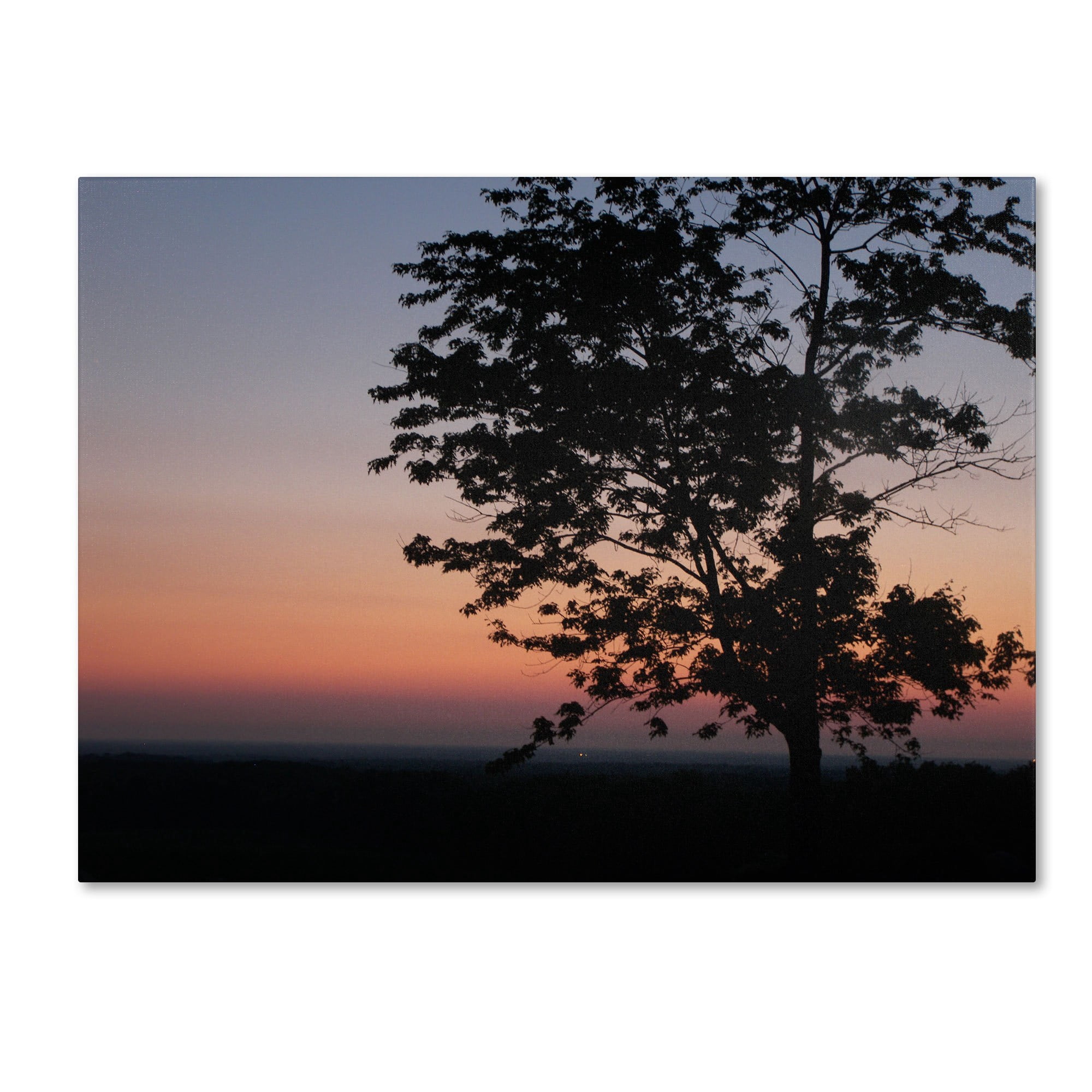 Trademark Fine Art "Soothing Symmetry" Canvas Art by Monica Fleet