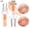 Orange, variant on Magic Color Changing Lip Oil, 2024 New Warm Change Moisturizing Lip Gloss Hydrating Lip Oil, New Upgraded Magic Big Brush Color Changing Lip Oil Long Lasting Nourishing