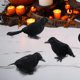 thumbnail image 1 of Cuervos de Halloween Macarena 3x Cuervos con plumas negras Estilo A, 1 of 8