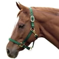 thumbnail image 3 of Intrepid International 1ZAS35RD Nylon Horse Halter, Yearling - Red, 3 of 7