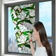 thumbnail image 4 of Lámina Adhesiva Estática Para Ventanas Con Diseño Floral Arcoíris. Adhesivo De Pvc Removible Para Puertas De Cristal (100 X 43 Cm). Pegatina De Privacidad Sin Residuos. 8 Diseños Botánicos (El Patró, 4 of 5