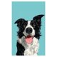 thumbnail image 1 of Cuadro Decorativo Impreso 70x100cm Border Collie, 1 of 10