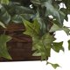 thumbnail image 3 of Planta de seda, hiedra casi natural, con cesta con repisa, 32 cm, 3 of 5
