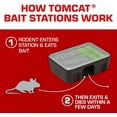 thumbnail image 4 of Mouse Killer Disposable Bait Station — Child & Dog Resistant, Indoor/Outdoor Use, Easy Monitoring, 2 Pre-Filled Bait Stations, 4 of 5