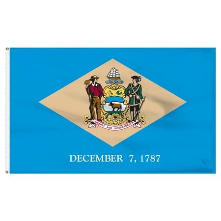 Delaware Today Online - Delaware 8ft x 12ft Nylon Flag
