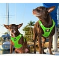 thumbnail image 5 of EcoBark Pet Supplies Step-In Rapid Fastener Comfort Adjustable Dog Harness, 5 of 8