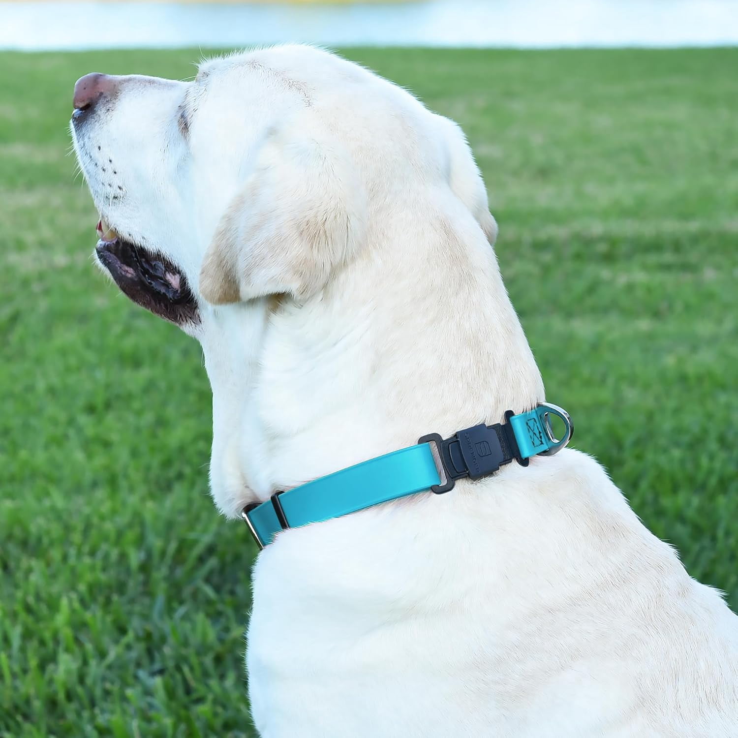 Waterproof Dog Collar with  Stainless Steel Quick Release Buckle – Heavy Duty Tactical Durable Collar for Dogs – Comfortable and Safe Pet Collar W1 L 15-25"