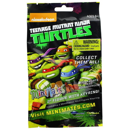 Teenage Mutant Ninja Turtles Minimates Series 2 Blind Bag, One Random