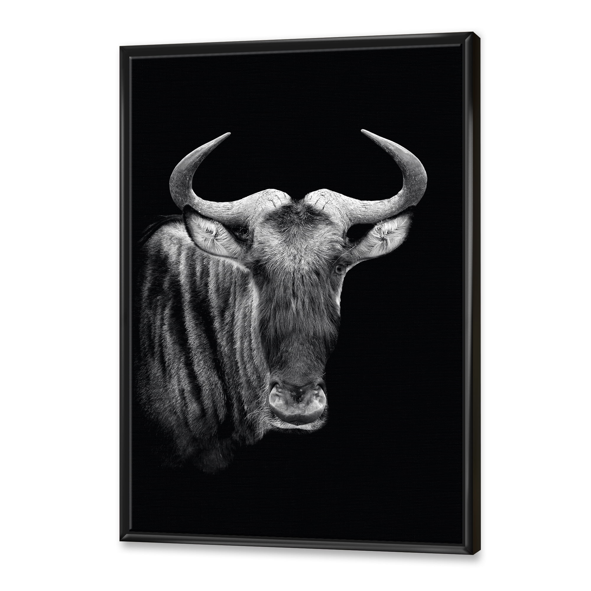 Designart 'Black and White Portrait Of Wildebeest' Farmhouse Framed Canvas Wall Art Print